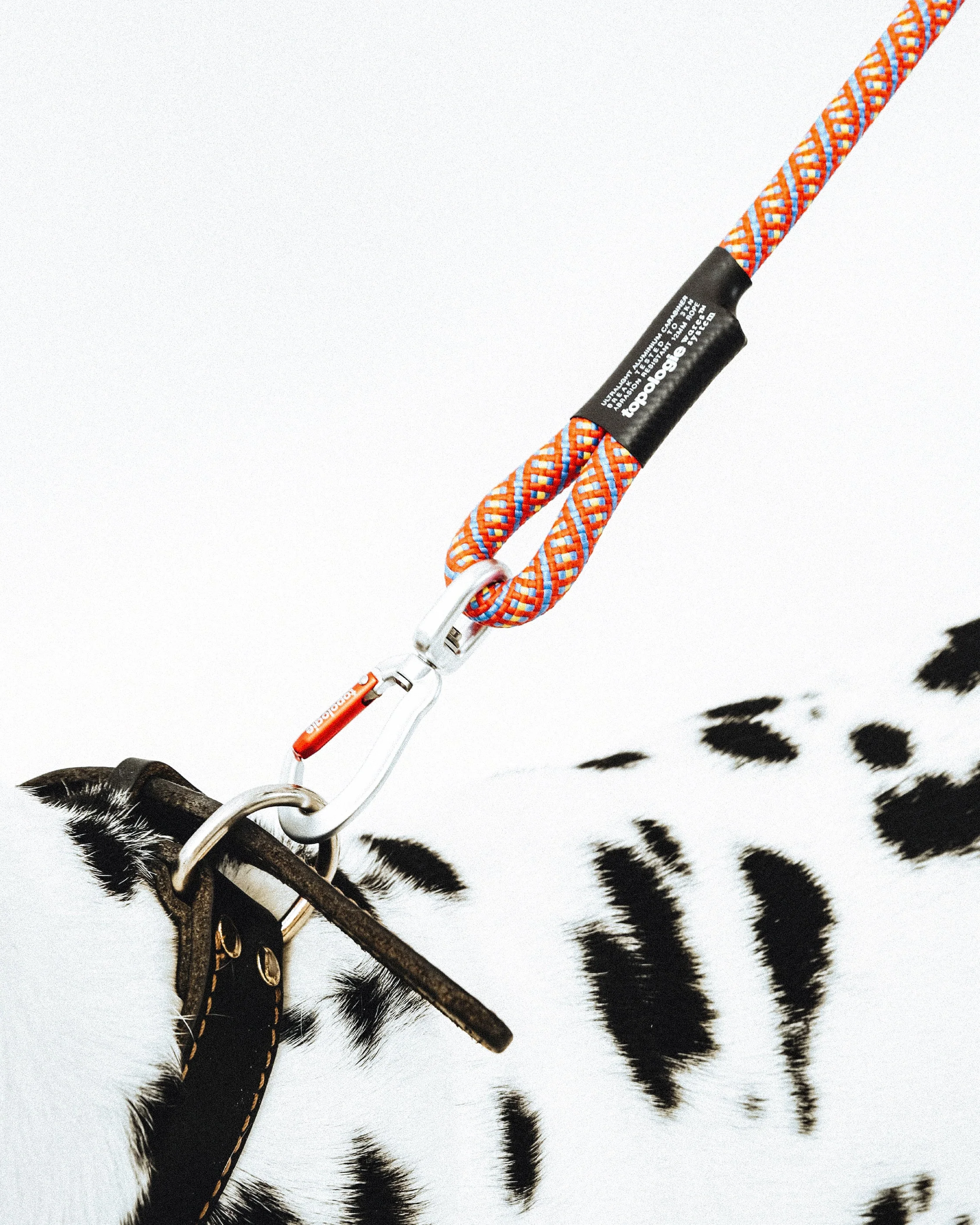 12mm Leash - Image 13