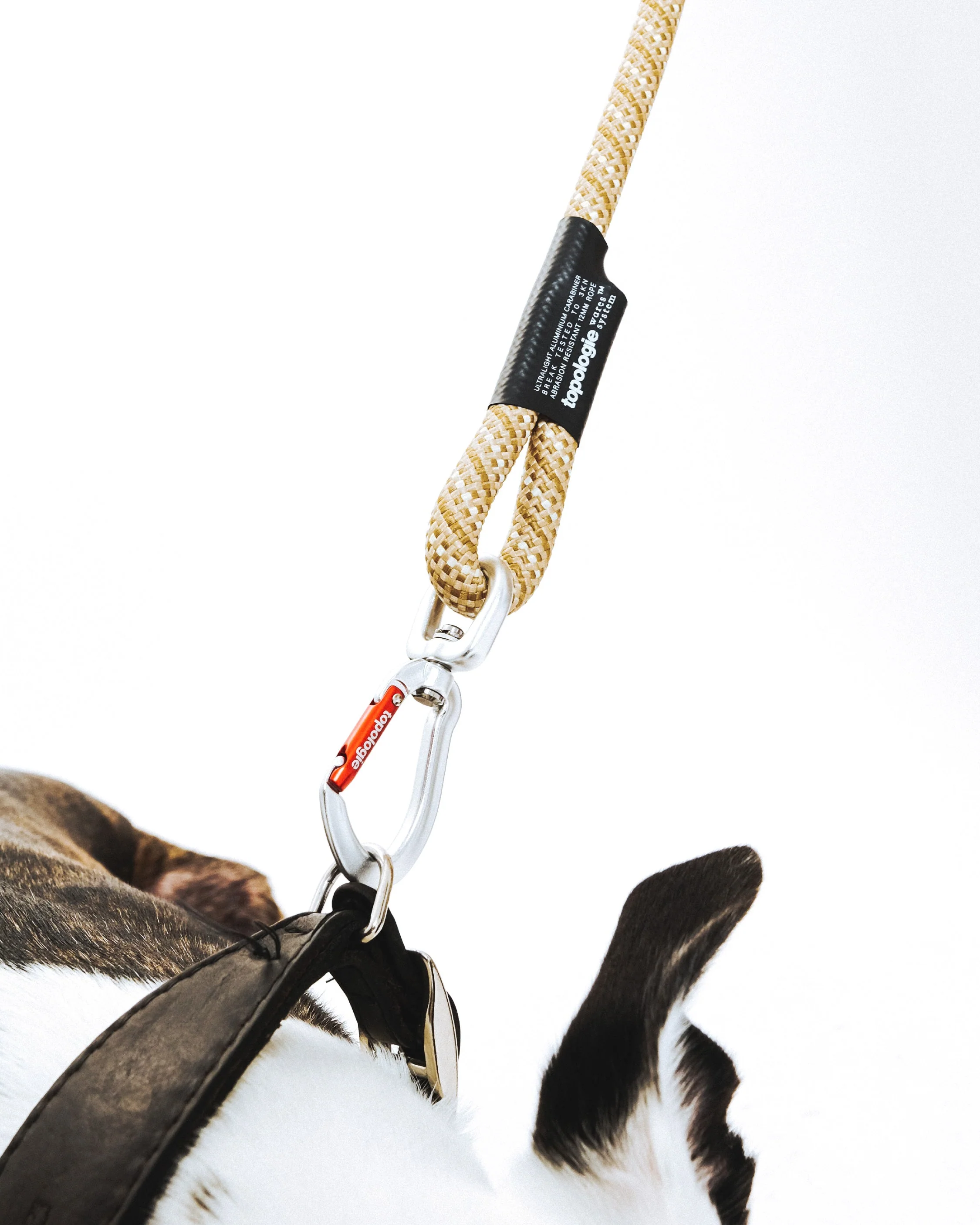 12mm Leash - Image 3